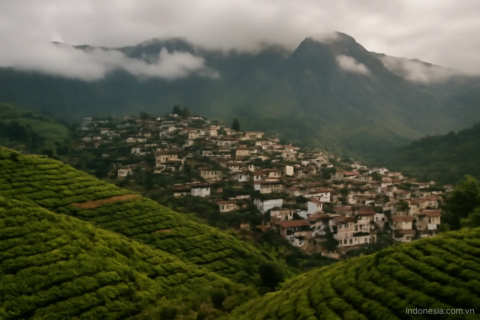 A hillside city surrounded by tea plantations and volcanic ridges under low cloud, wide view, no text