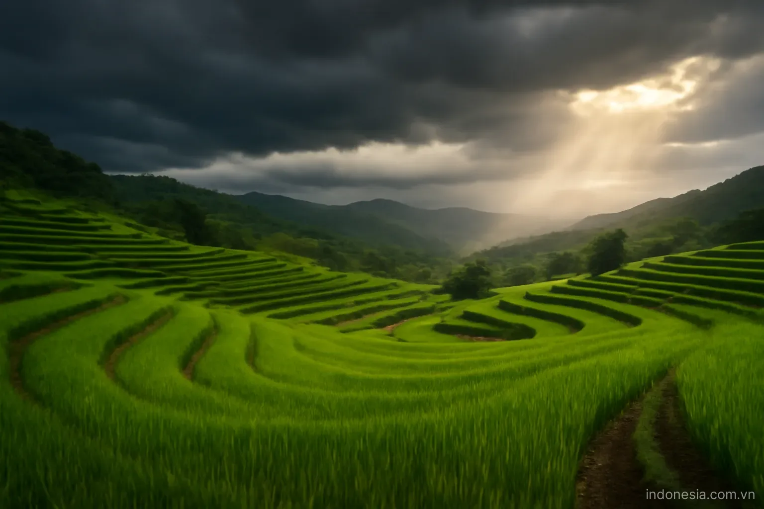 Dark rain clouds over green rice terraces with sunlight breaking through on one side, wide view, no text