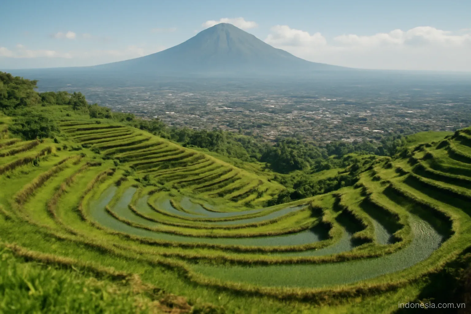 Terraced rice fields on volcanic slopes with a city sprawling across the plain below, wide view, no text